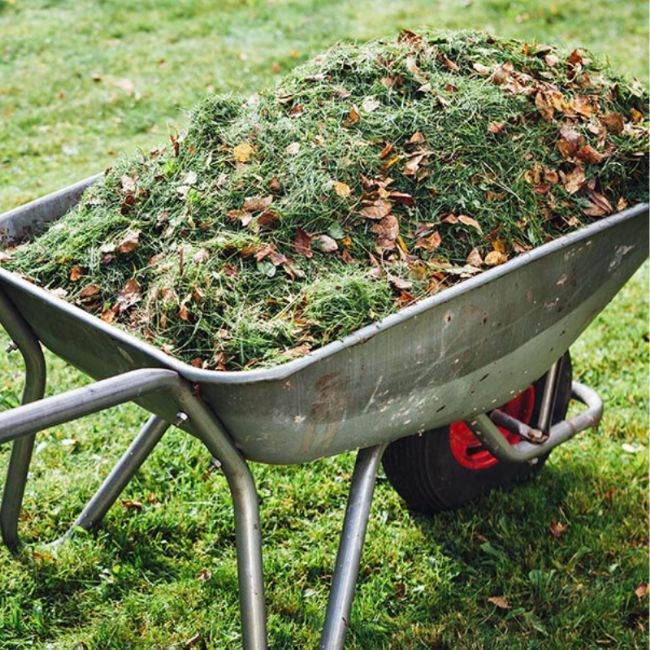 Grass Clippings