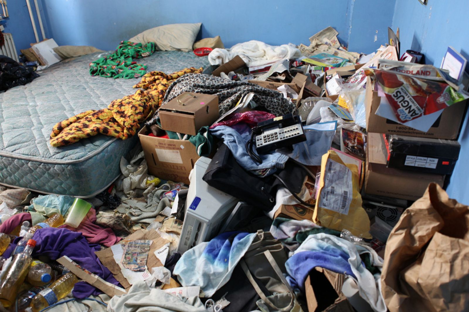 Hoarding Cleanup